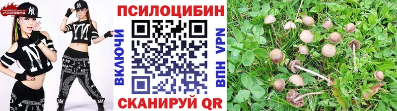 Галлюциногенные грибы Cubensis  Чулым 